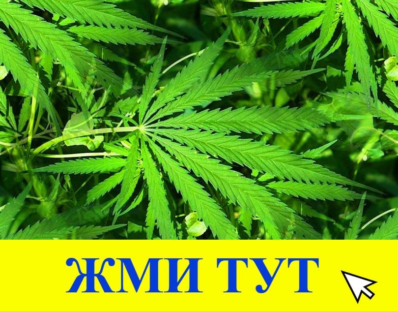 Купить наркотики в Мончегорске